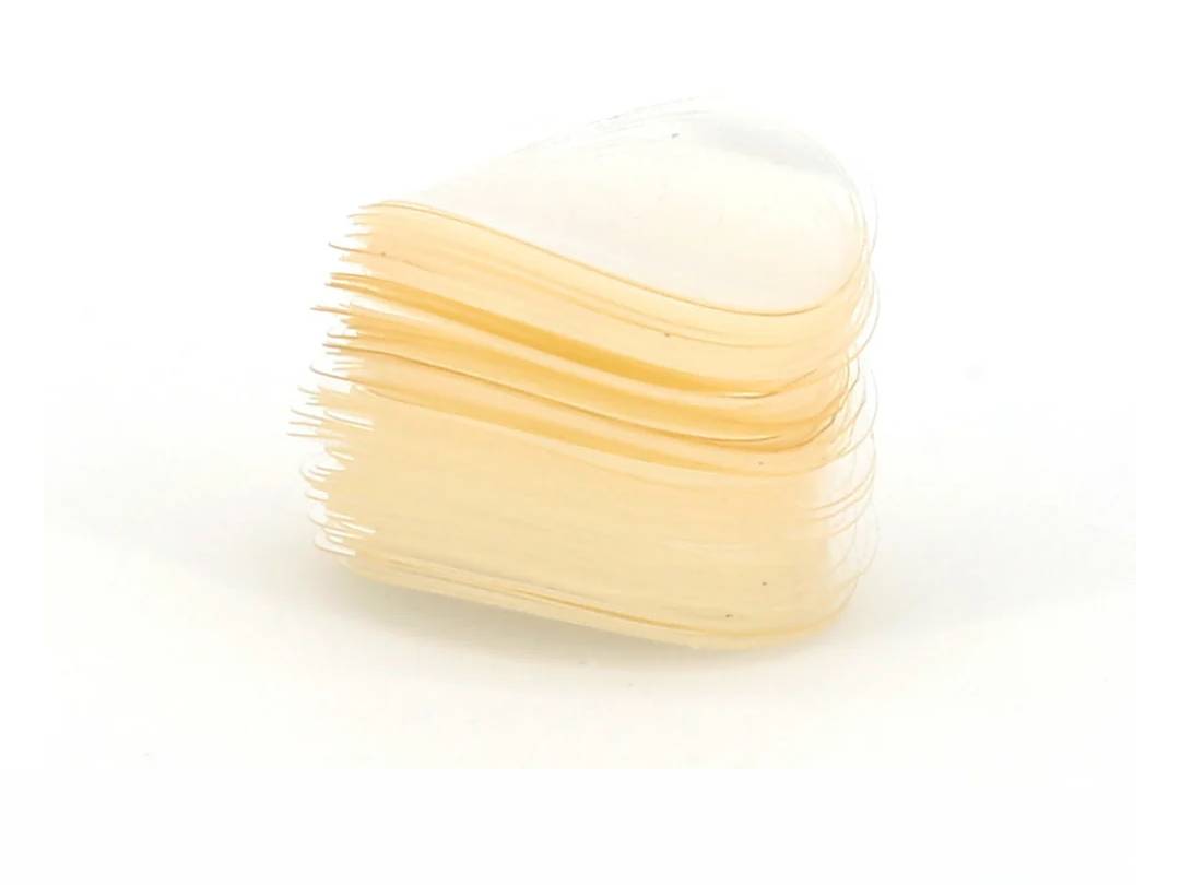 NG01GS0101